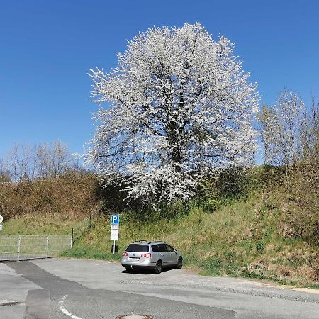 Ferienwohnung "Zur Kleinbahn" ซิทเทา ภายนอก รูปภาพ